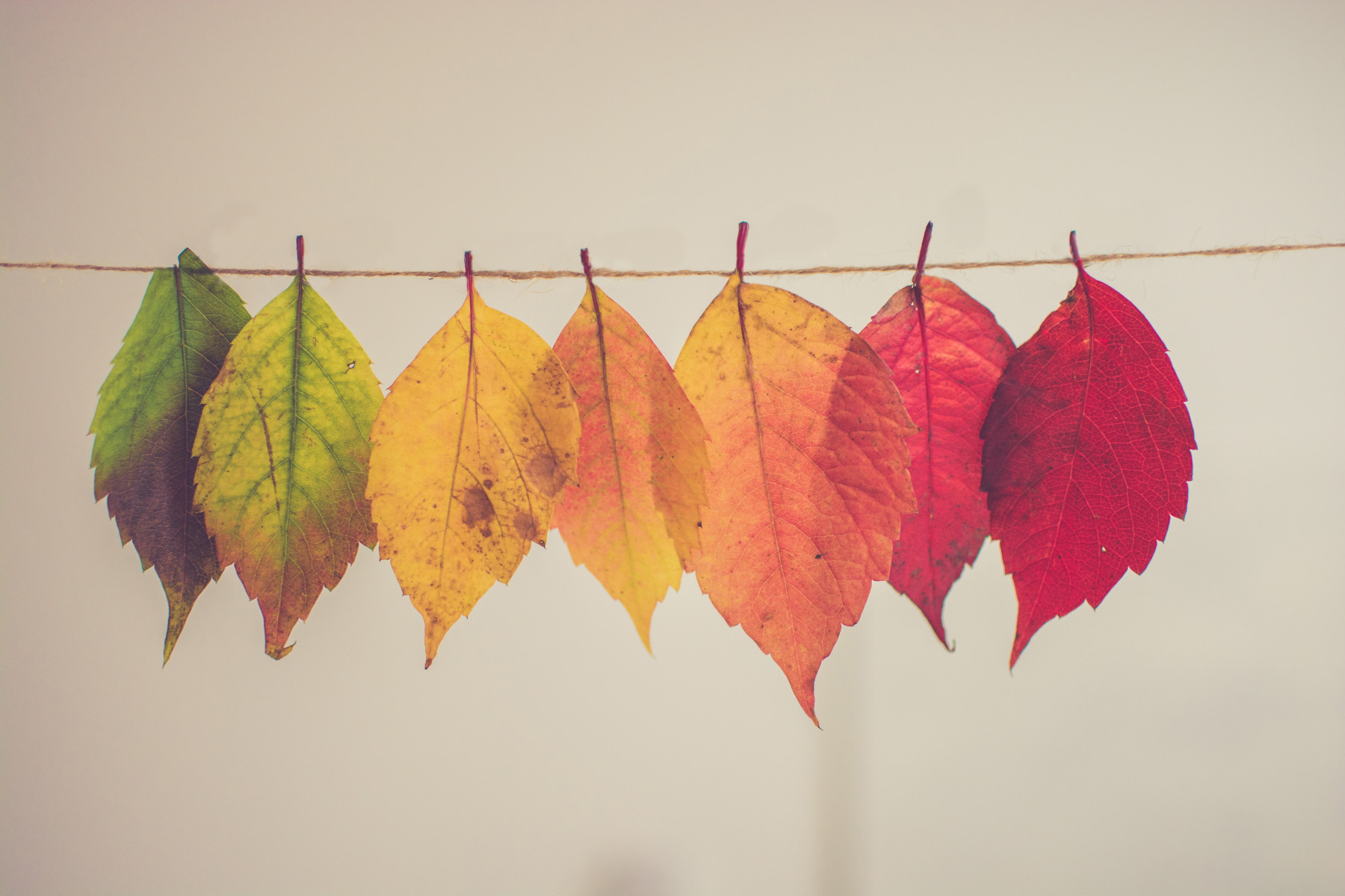 Photo by Chris Lawton on Unsplash.com