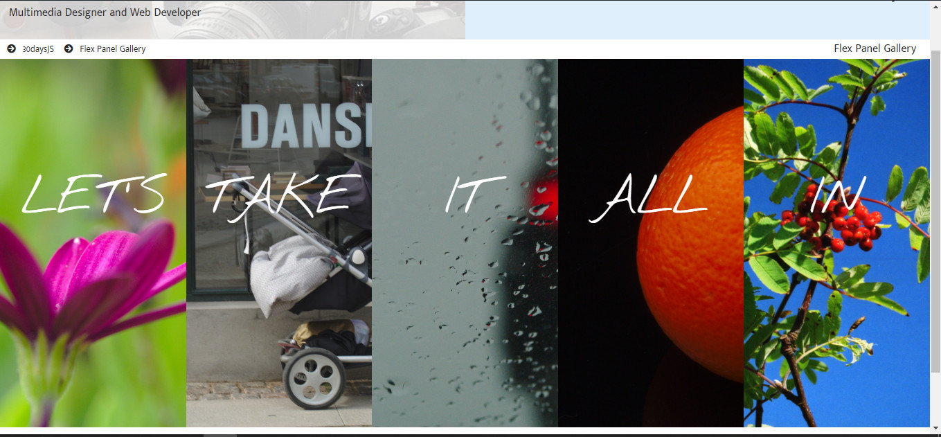 Screenshot of the Flex Panel Gallery Project