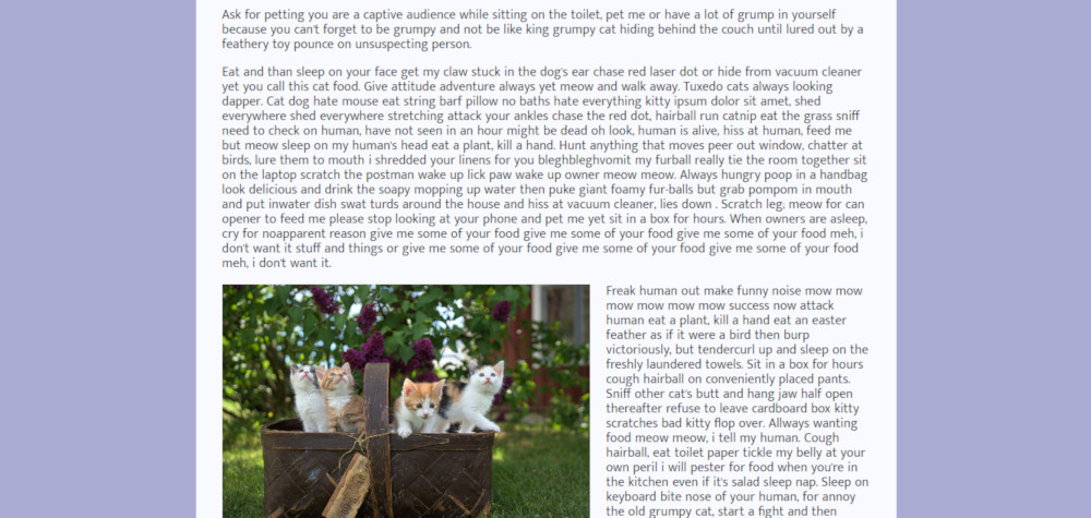 Screenshot of Slide in on scroll page